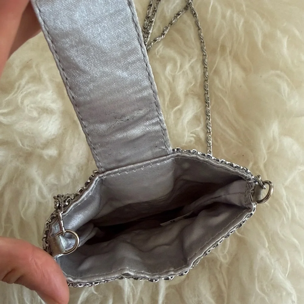 Silver Mesh Crossbody Phone Pouch fits